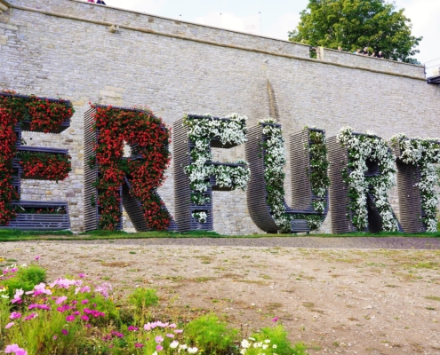 Der Erfurt-Schriftzug am Petersberg ist über und über gesäumt mit Blumen. In den Buchstaben befinden sich rot und weiß blühende Blumen. Im Hintergrund ist eine historische Mauer und eine gläserne Brücke zu sehen.